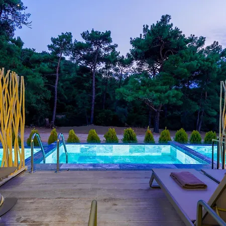 Palmera Pachis Private Pool 别墅 *